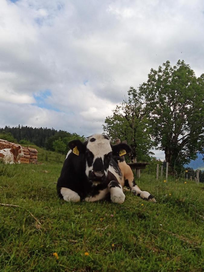 Apartamento Haus Schwarzeck Ramsau bei Berchtesgaden Exterior foto